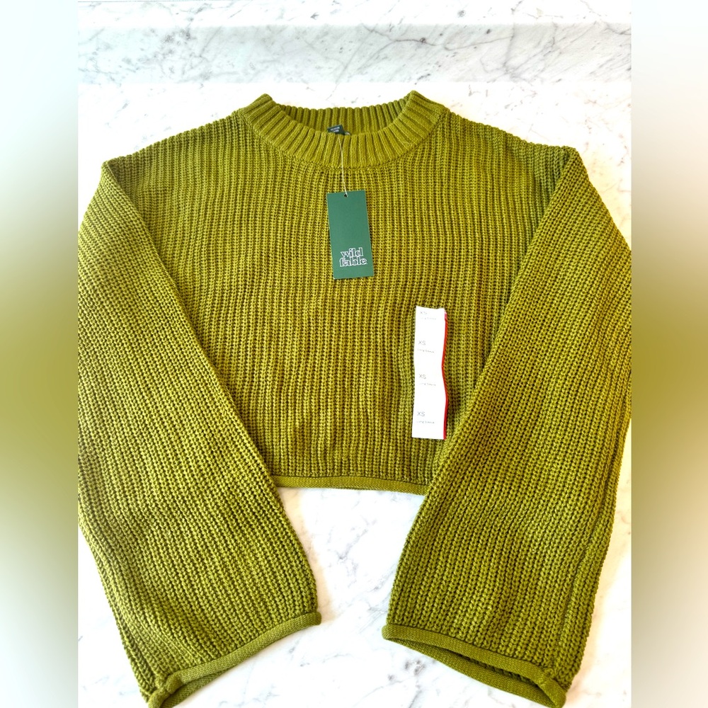 Wild Fable Crop Sweater
